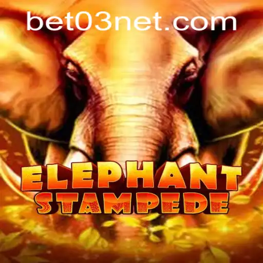 bet03 PH Login Blackjack
