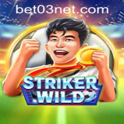 bet03 PH Login Casino App